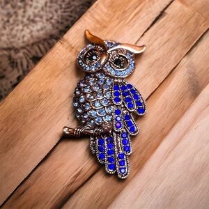 Blue Owl Brooch